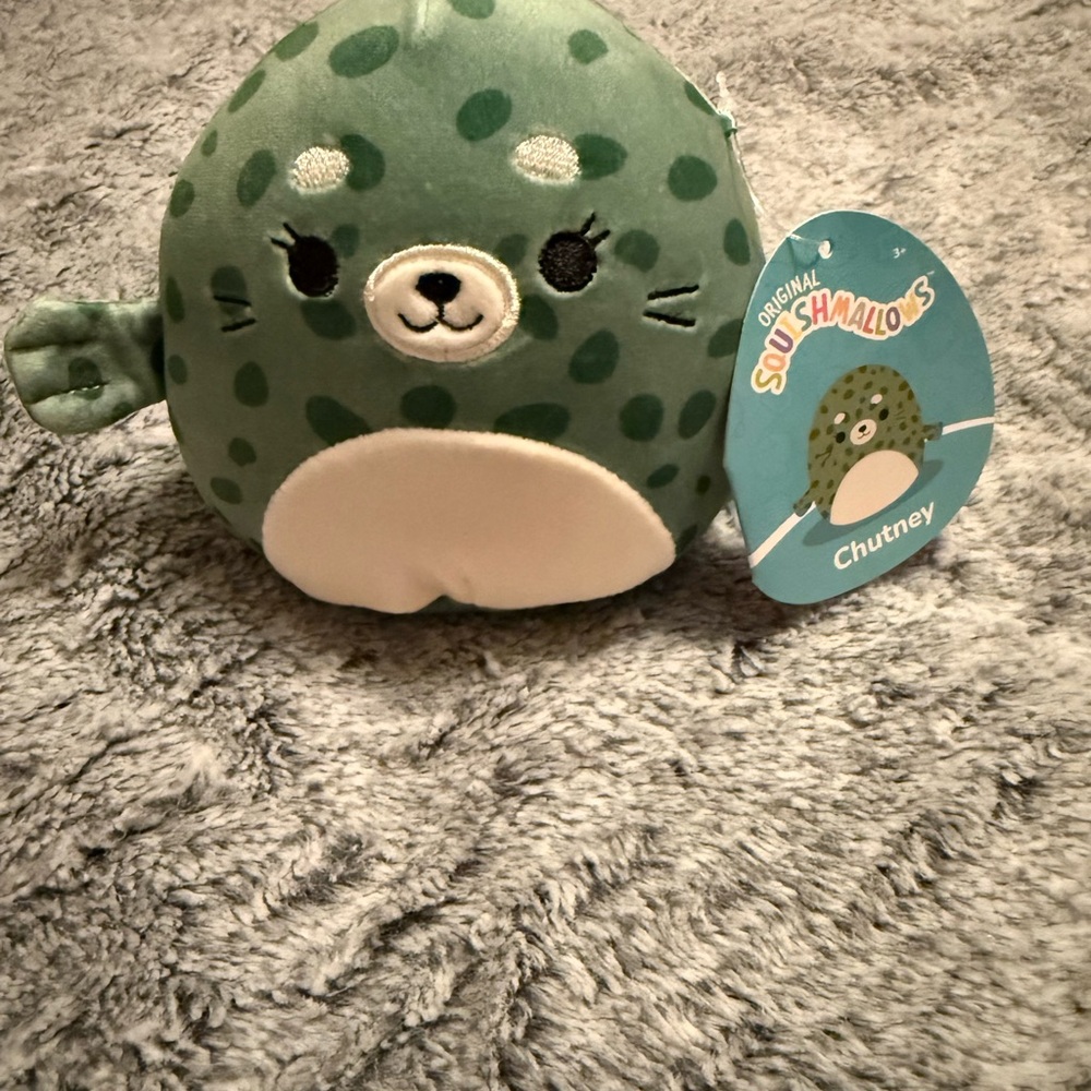 Squishmallows Chutney the Seal 5” NWT